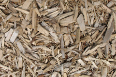 biomass boilers Pendeen